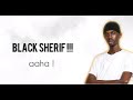 Black Sherif Money Lyrics