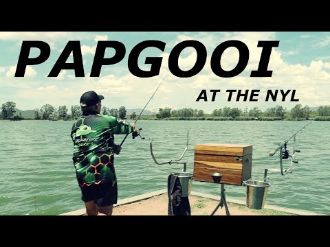 A "Papgooi" session at the Nyl