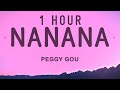 Peggy Gou - Nanana (It Goes Like) [1 Hour Loop]
