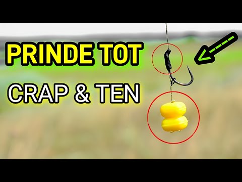 NU O MAI ȚIN SECRETĂ! Montura care prinde CRAP și TEN RECORD (tutorial complet)