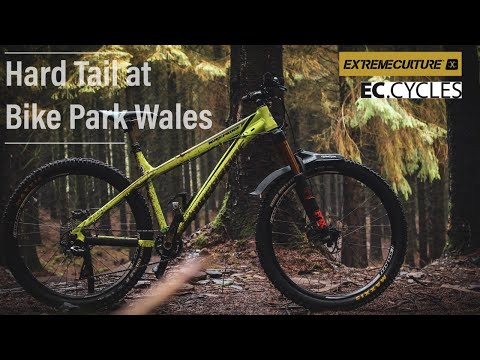 The hardtail at Bike Park Wales (Nukeproof Scout)