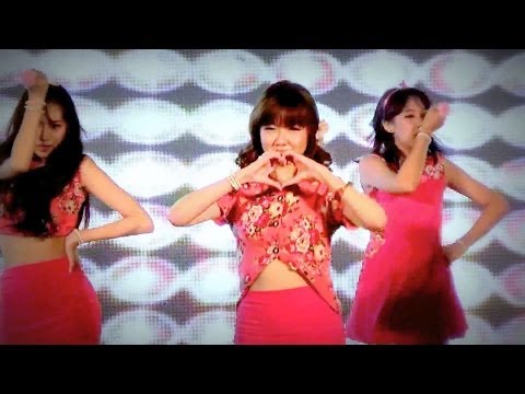 140531 [Close Up] PinkPanther cover Apink - Bubibu + Mr.Chu + My My + Kissing You @Esplanade (Final)