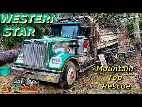 I Found a Hidden Gem On Top of a Mountain, Will it Run & Drive Home?