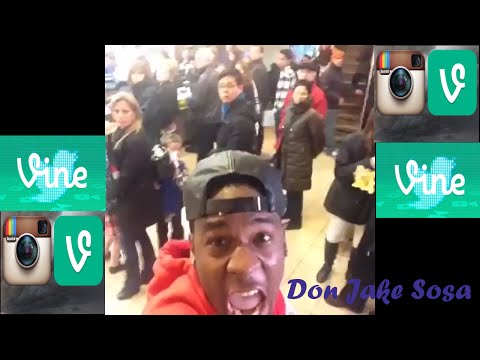Screaming in Public VINES COMPILATION ✔✔ ★★★ NEW ★★★ HD