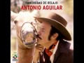 Antonio Aguilar, El Hombre Alegre.wmv