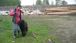 , видео 03.05.2017