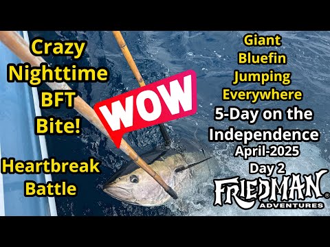 Giant bluefin tuna jumping everywhere, night bite goes wild on FA 5-Day trip on the Independence