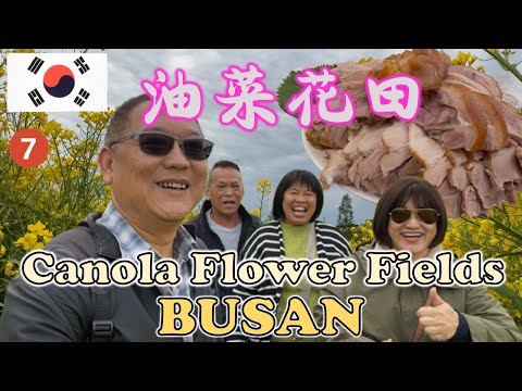 Tio Lee visita campos de flores de canola em Busan | Tio Lee visita campos de flores de canola em Busan | PARQUE ECOLÓGICO DAEJEO | BIFF SQUARE
