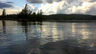 preview picture of video 'Beavers on Lower Saranac.avi'