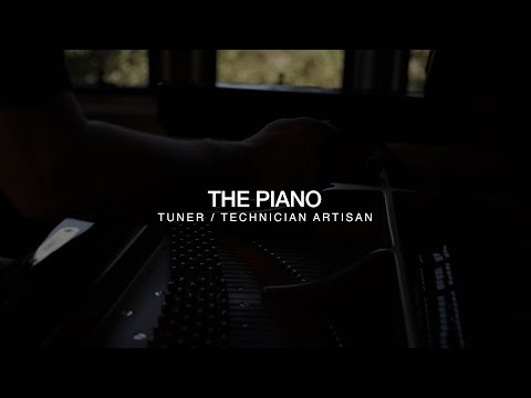 The Piano Tuner/Technician Artisan [ Save our skills ]