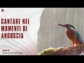 CANTARE NEI MOMENTI DI ANGOSCIA - SALMO 46  - Past. Davide Ravasio