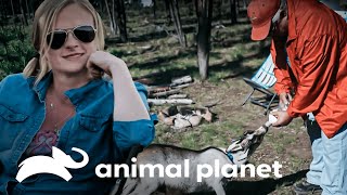 Thumbnail del capítulo