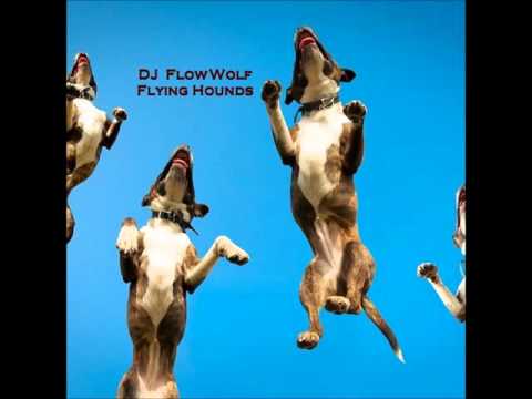 DJ FlowWolf - Flying Hounds