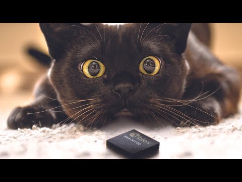 u-blox MIA-M10，全球最小的 GNSS 模組