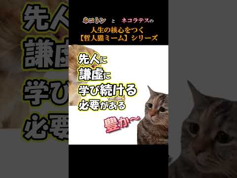 「古典」って&hellip;その２【人生の核心をつく哲人猫ミーム#28】#猫ミーム #人生の意味 #人生のヒント