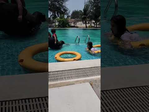 Ocean view with pool#travel#travel #swimming #swimmingpool