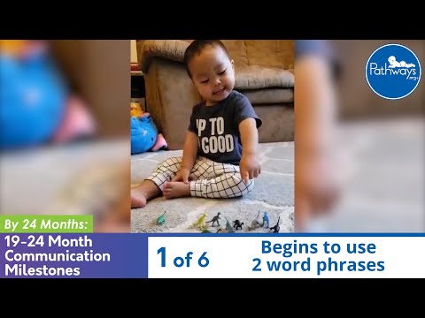 19-24 Month Communication Milestones