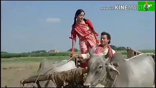 Download lagu Dj jhankar song-kaunsi disha leke chala re batohiya (nadiya ke paar) - kon disha mai Jhankar song mp3