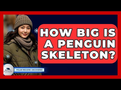 How Big Is A Penguin Skeleton? - Polar Regions Uncovered