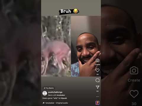 Deers Gone Wild 😂 @TonyBakercomedy  at it Again!! | PUSH