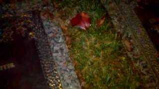 demonic screams at a cemetery