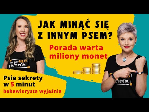 Mijanie się psów na wąskich chodnikach nie musi być koszmarem!