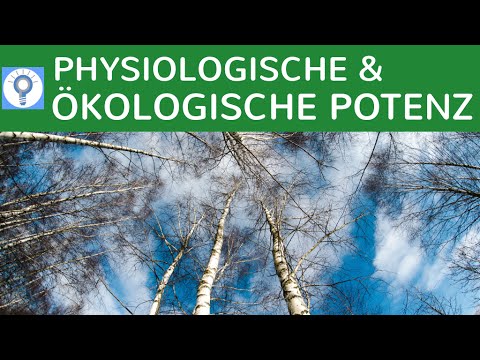 Physiologische und ökologische Potenz einfach erklärt - Wettbewerbs- & Verdrängungsprozesse Bäume