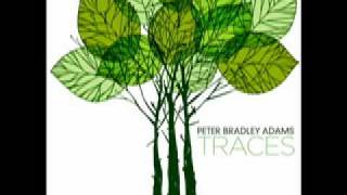 Peter Bradley Adams - I Cannot Settle Down.mov