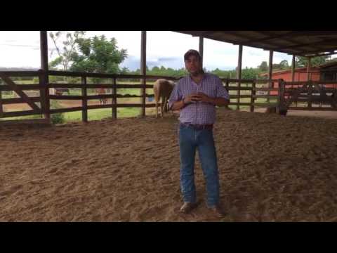 TV UC - A Doma da Potra da Maria! Episódio 1