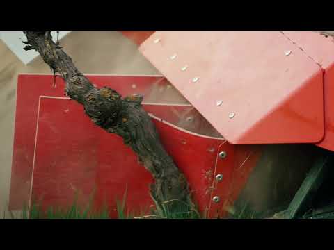 Diserbatrice Happy Plant IT