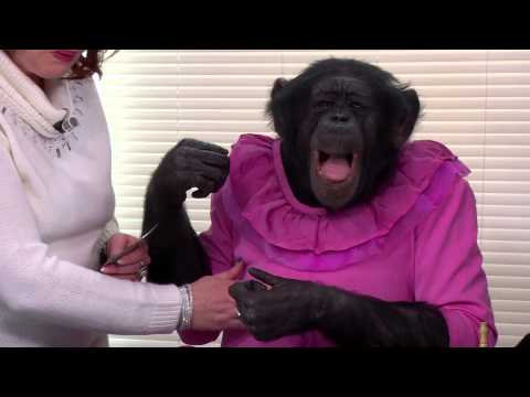 Lea et la Smala #2 avec TIBI