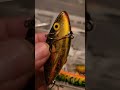 Video Thumbnail for Look at this lure after pike fishing #short #fishing #subscribe #shorts