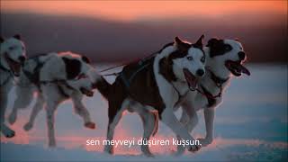 graham nash | and so it goes