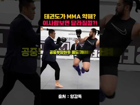 태권도가 MMA에 약하다는 사람 이거보면 달라짐ㅎㄷㄷ #mma #종합격투기 #태권도 #일반인스파링 #양감독