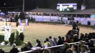 Video koně River Dance Semilly