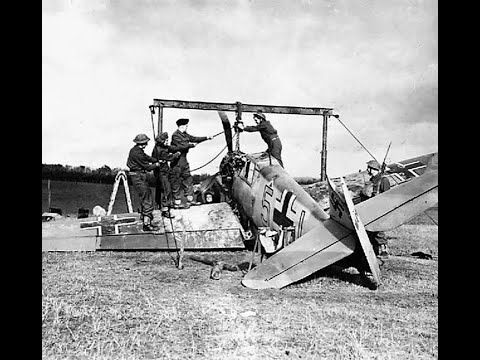 An Unwanted Guest: The Polite Austrian