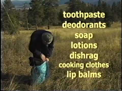 Hunting In Bear Country - Safety Guide