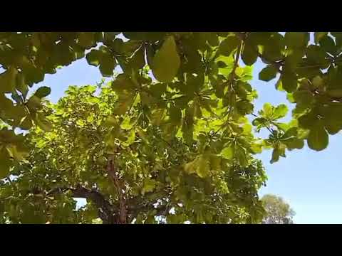 Alin mas maganda mag swimming  beach or falls