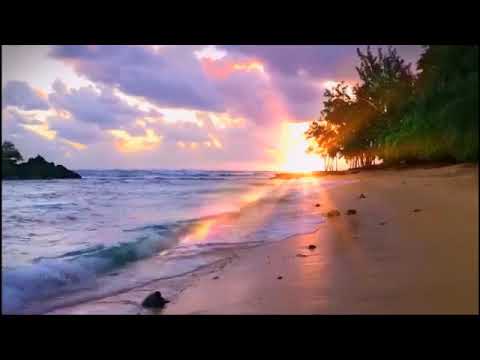 Megnyugtató relax zene, amitől beindulhat a gyógyulásod ❤️