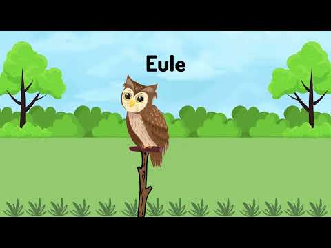 LERNE ÜBER VÖGEL | EINE FASZINIERENDE REISE MIT GEFIEDERTEN FREUNDEN | CUTIE BEE GERMAN