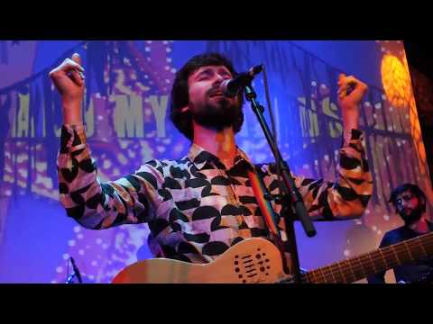 Me and My Friends - A Penguin Samba (Live)