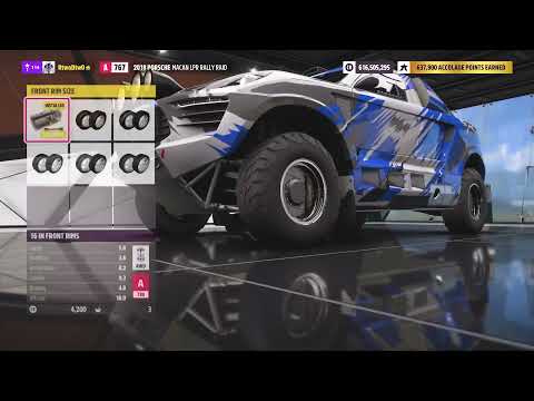 FH5 GLITCH! Porsche Macan LPR Rally Raid Wheels!