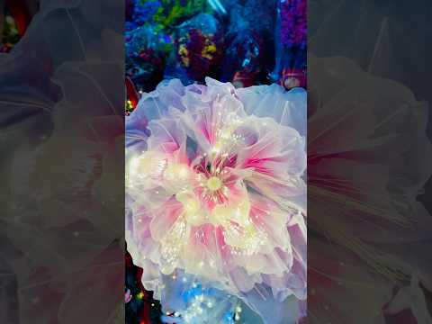 Amazing flower #flowers #shorts #shortvideo #decoration