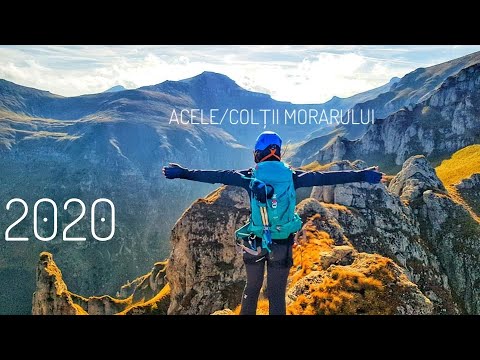 Acele/Colții Morarului - 2020