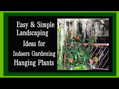 , title : 'Landscaping Gardening Areas - Best Hanging Potted Plants for Difficult / Indoors & Outdoor Areas'