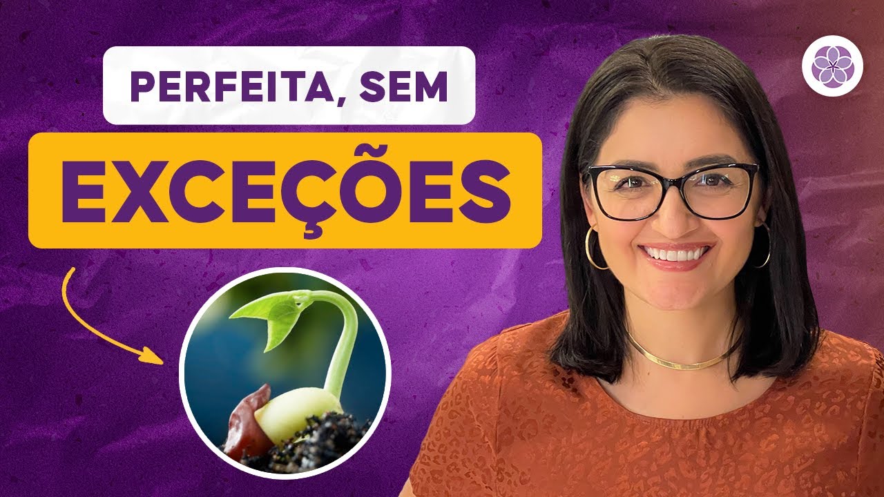 A Vida é SEMPRE Perfeita (sem exceções)