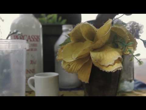 O Lar que nos Habita - Sala de Notícias - Canal Futura