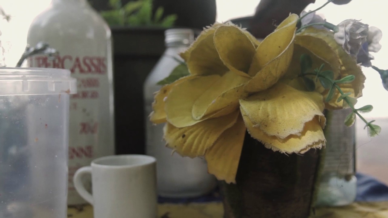 O Lar que nos Habita - Sala de Notícias - Canal Futura