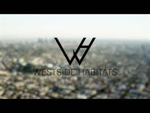 7056 Lanewood Ave - Video 6 of 6