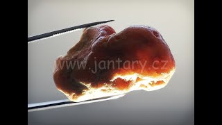 Okno do rovenského jantaru UO-11